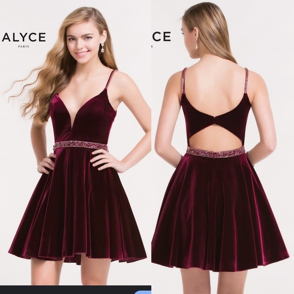 Alyce Paris Dresses & Skirts - Alyce Paris Style #3712 Burgundy Velvet A-line Beaded Homecoming Formal Dress 8